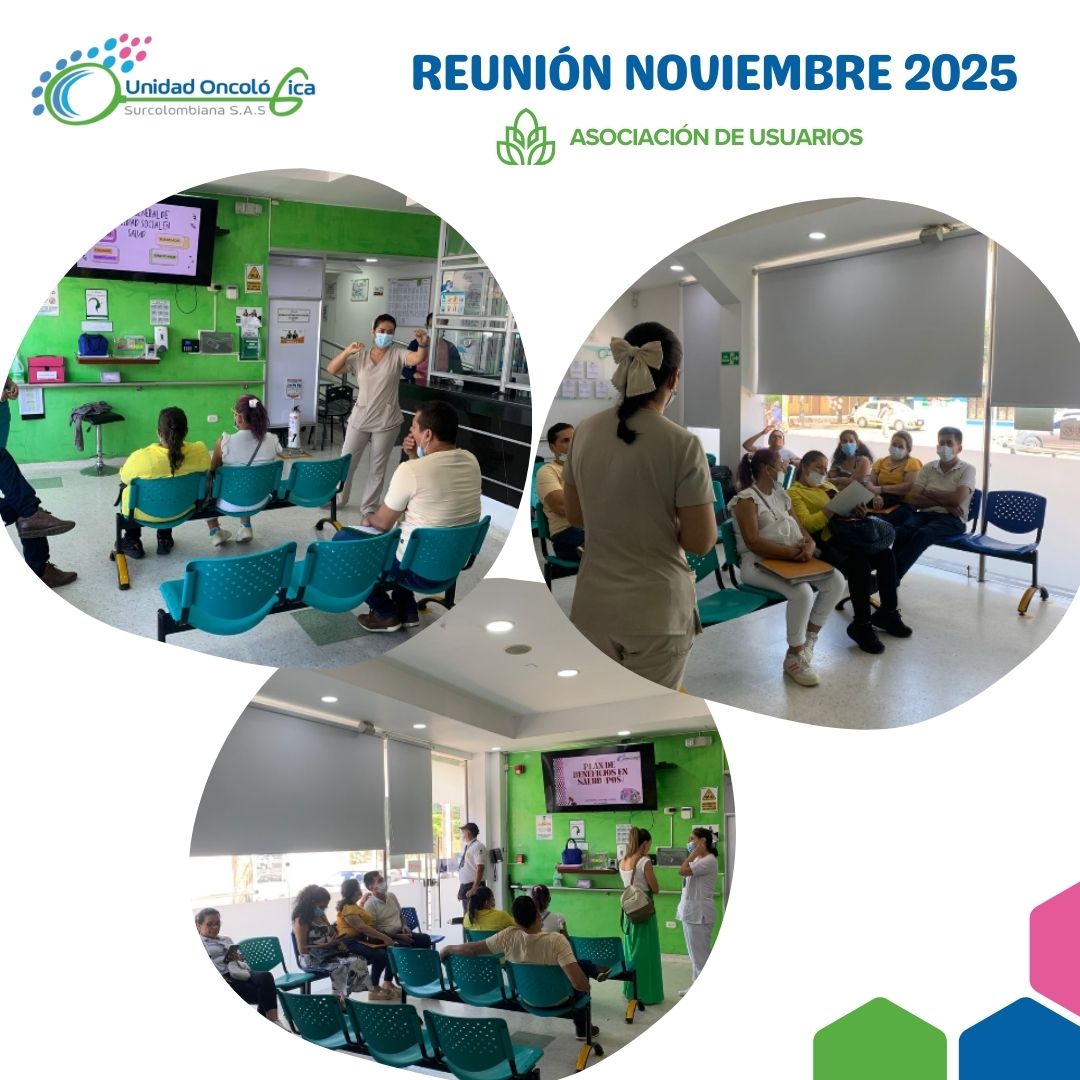 REUNION DE NOVIEMBRE 2025